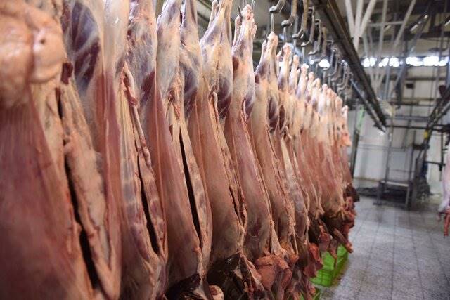 دپوی 17 هزار تن گوشت وارداتی/ تکلیف جدید برای ترخیص