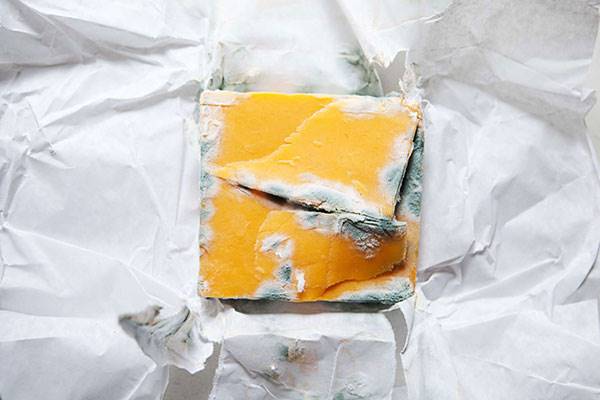 بهترین روش نگهداری از پنیر