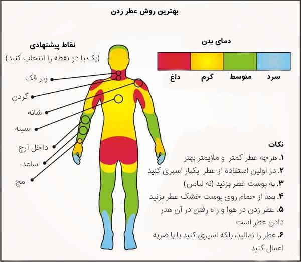 نقاط پیشنهادی برای عطر زدن