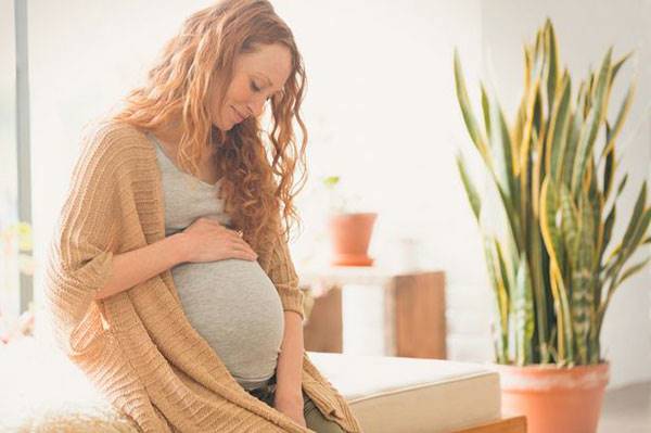 چگونه از همسر باردارتان حمایت کنید