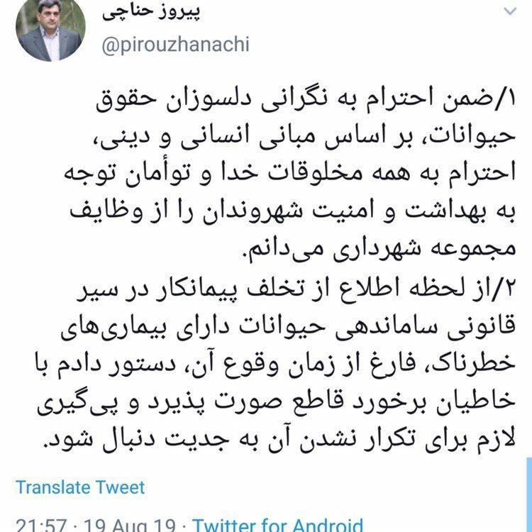 واکنش حناچی به ماجرای سگ کشی در پایتخت/ دستور شهردار تهران برای برخورد با خاطیان