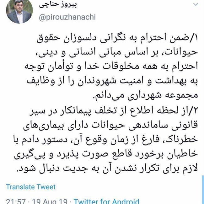 واکنش توئیتری شهردار تهران به سگ کشی/ دستور شهردار تهران برای برخورد با خاطیان