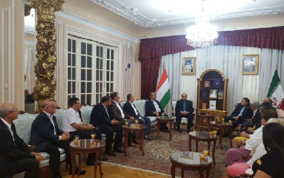 شهرداری های ایران و مجارستان همکاری های خود را گسترش می دهند
