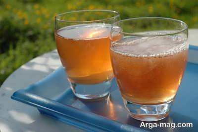 فواید کامبوجا بر روی سلامتی