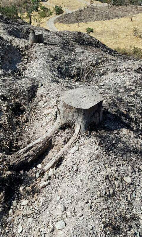 بوستان چیتگر//// بوستان چیتگر////