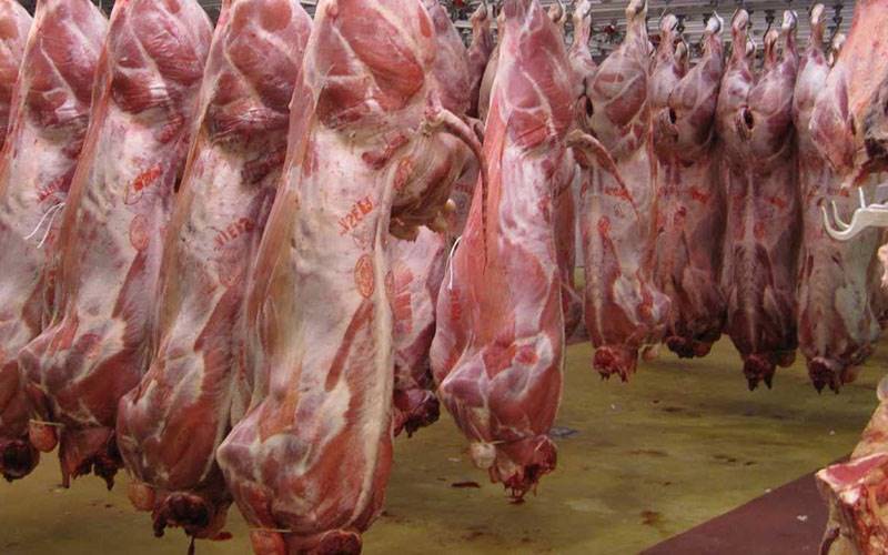 قیمت گوشت قرمز روند کاهشی داشته است/ گوشت گوساله کیلویی 83 هزار تومان