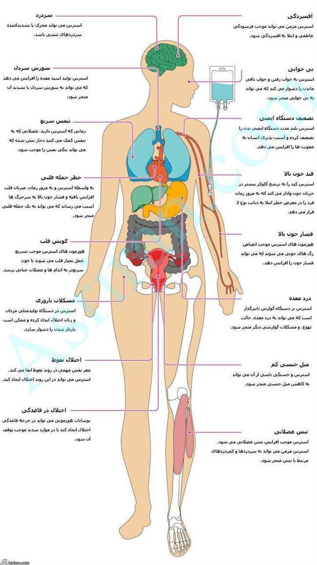 استرس با بدن چه می کند! (اینفوگرافی)