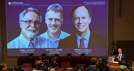برندگان جایزه نوبل پزشکی 2019 معرفی شدند