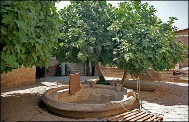 کاظمی/ مشکلات ثبتی و توافق نکردن ورثه مانع تملک رهبر مشروطه و شیخ فضل الله نوری است