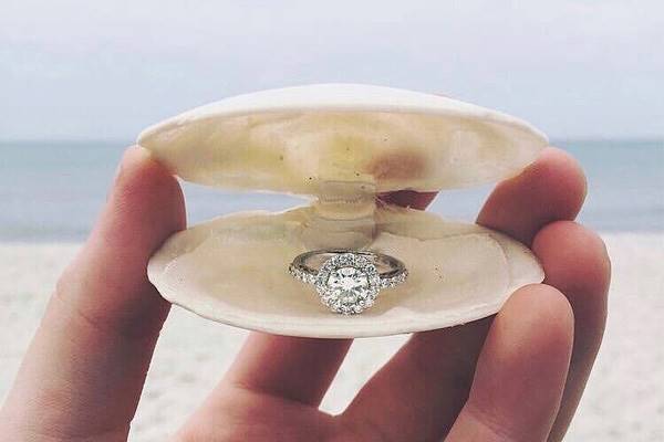 استفاده از صدف و عناصر دریایی برای تزیین حلقه ازدواج