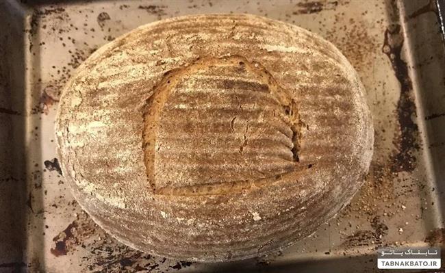 دانشمندی که با مخمر 4500 ساله نان پخت!