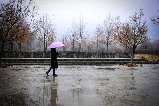 باران هوای تهران را سالم کرد