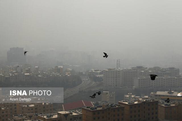 دو نسخه متفاوت استانداری و سازمان لیگ برای آلودگی هوا/ لیگ یکی‌ها ریه ندارند!