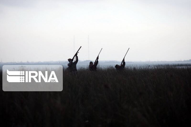 چرا شکار پرندگان مهاجر در مازندران متوقف نمی‌شود؟
