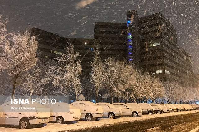 آغاز بارش برف در برخی مناطق تهران