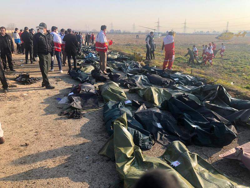 5 خانواده جان باختگان ایرانی سقوط هواپیمای اوکراینی نمونه DNA ندادند