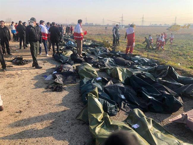 5 خانواده جان باختگان ایرانی سقوط هواپیمای اوکراینی نمونه DNA ندادند/ اینترپل به دنبال نمونه DNA اتباع خارجی