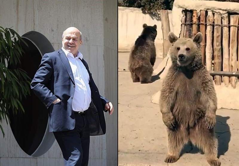 آیا انتقال عجولانه جانوران از "پردیسان" مقدمه‌ای برای اجرای طرحی چند ده میلیارد تومانی است؟