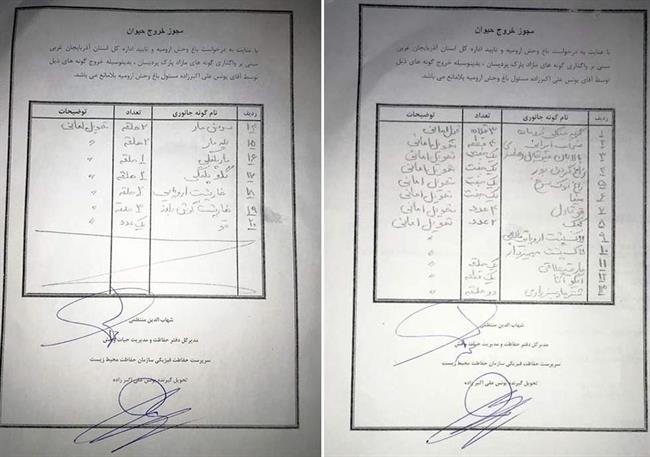 سازمان محیط زیست ,