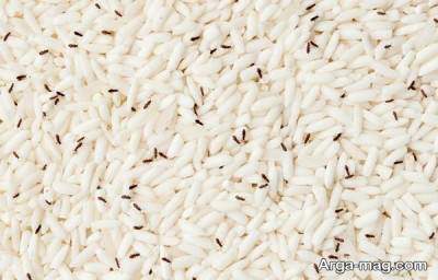 روش های از بین بردن شپشک برنج در خانه