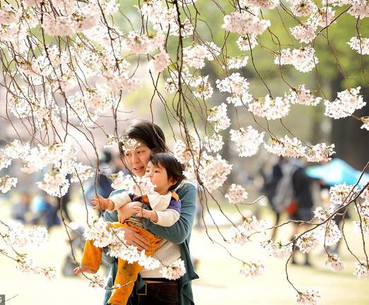 5 قانون تربیت فرزند که باید از ژاپنی ها بیاموزیم
