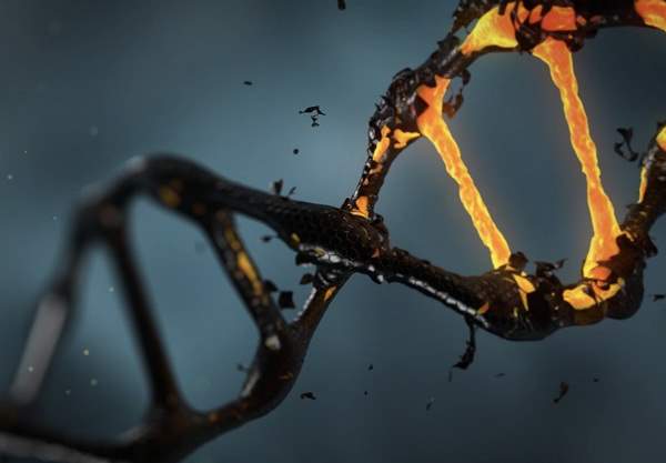ذخیره داده در DNA