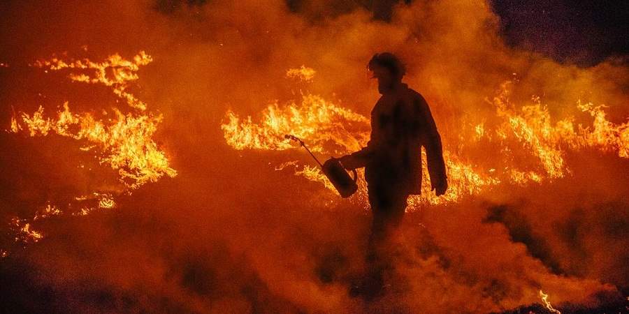 آتش سوزی های استرالیا چه تأثیری بر دنیا دارد؟ زمین در آستانه نابودی
