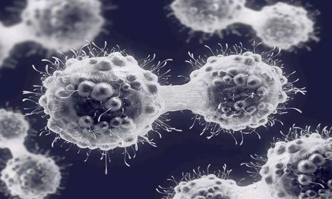 سلولی که می تواند درمان سرطان را متحول کند