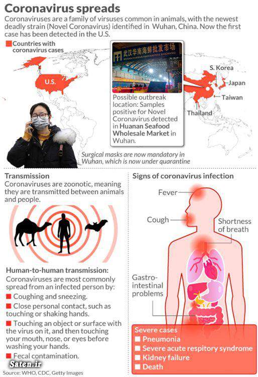 ویروس کرونا مضرات گربه در خانه مجله سلامت کشنده ترین بیماری های جهان کرونا چیست  بیماریهای واگیردار و علت آنها بیماری کرونا اخبار چین Coronavirus