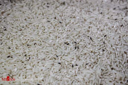 کاهش 25 درصدی صادرات برنج هند