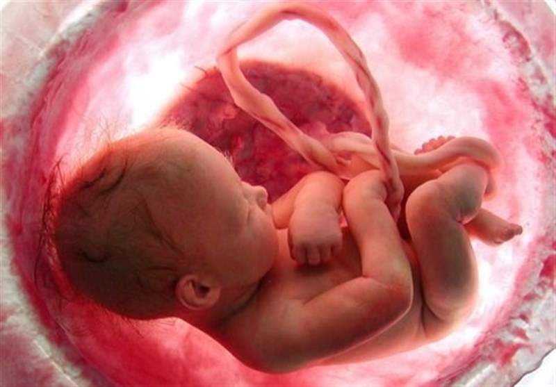 قوانین فعلی "سقط جنین" منجر به صدور مجوزهای بی‌مورد سقط شده/ لزوم بازنگری مسئله "عسر‌و‌حرج مادر" توسط مراجع عظام تقلید