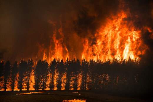 فیلم ؛ گسترش آتش سوزی در استرالیا زنگ خطر را به صدا درآورد