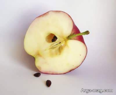 چگونگی کاشت هسته سیب برای سبزه عید