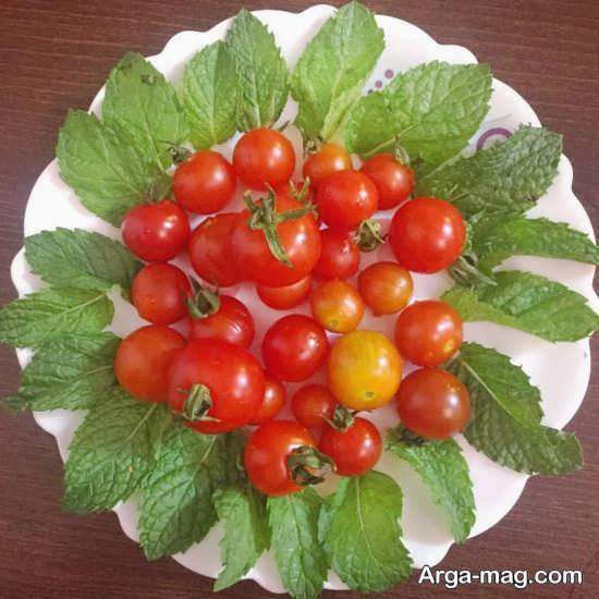 تزیین ساده و زیبای سالاد با گوجه گیلاسی
