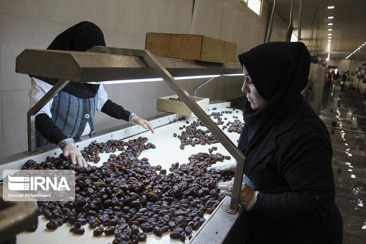 افزایش قیمت داخلی، صادرات خرمای ایران را 80 درصد کاهش داد