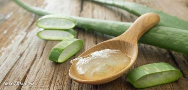 Aloe Vera Oil / / روش تهیه روغن آلوئه ورا / روغن آلوئه ورا برای مو / طرز تهیه روغن آلوئه ورا در منزل / روغن آلوئه ورا