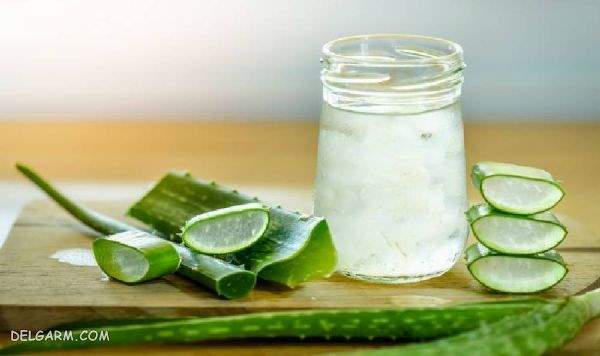 Aloe Vera Oil/ روش تهیه روغن آلوئه ورا / روغن آلوئه ورا برای مو / طرز تهیه روغن آلوئه ورا در منزل / خواص روغن آلوئه ورا