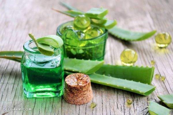 Aloe Vera Oil / روش تهیه روغن آلوئه ورا / روغن آلوئه ورا برای مو / طرز تهیه روغن آلوئه ورا در منزل / روغن آلوئه ورا