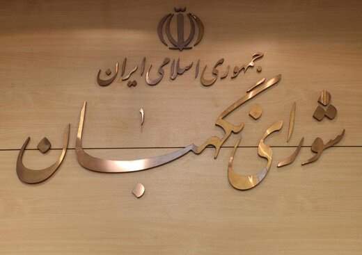 چند مورد گزارش مردمی از تخلفات انتخابات به شورای نگهبان رسید؟