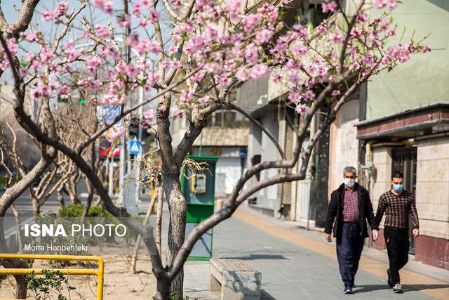 آمار تردد "تهرانی‌ها" در روزهای کرونایی/20.3 درصد در قرنطینه کامل