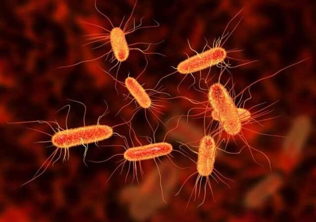شناسایی نانوذراتی که قابلیت کشتن باکتری‌های مضر را دارند