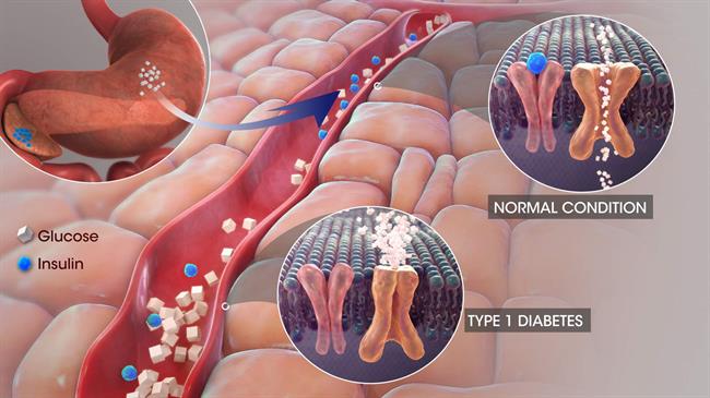 معنی اصطلاحات آزمایش خون