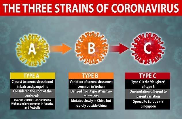 رایج‌ترین نوع ویروس کرونا در جهان کدام است؟