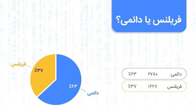 درآمد برنامه‌ نویسان