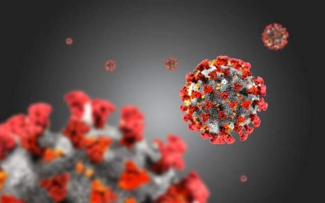 مدلی که مرگ و میر ناشی از کروناویروس را پیش‌بینی می‌کند