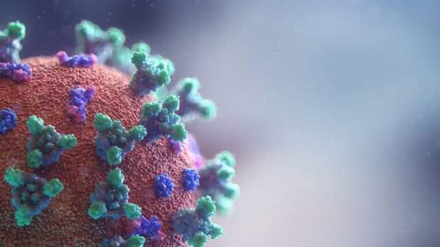 سیستم ایمنی بدن انسان می‌تواند کروناویروس را تشخیص دهد