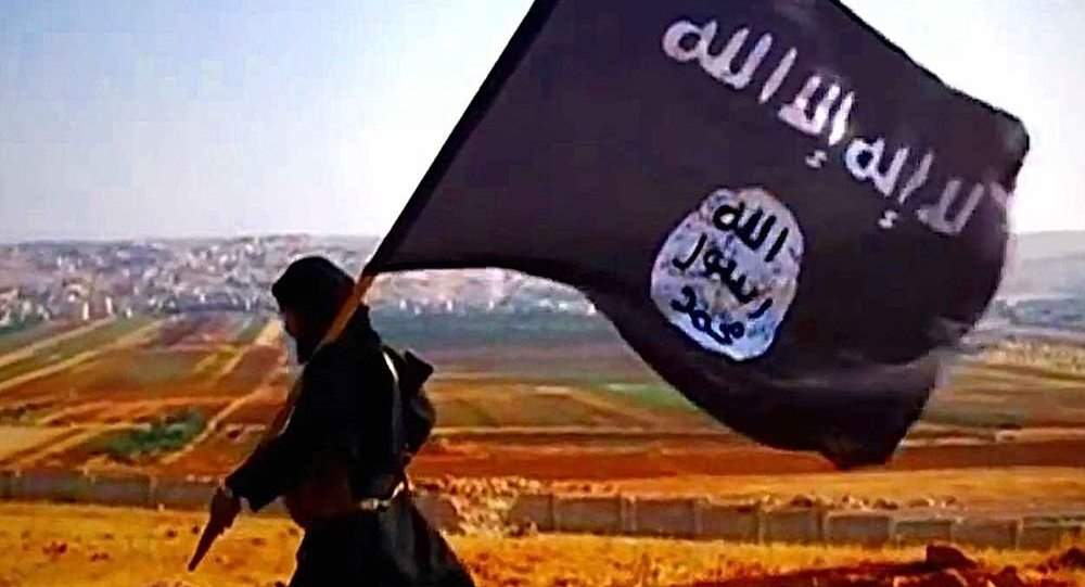مسئول هماهنگی داعش کشته شد