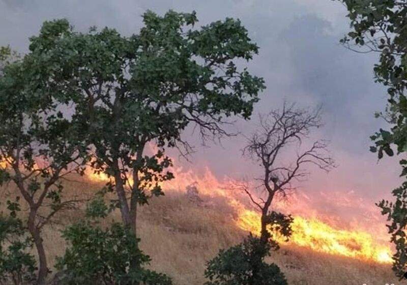 کوه خاییز کهگیلویه در محاصره آتش