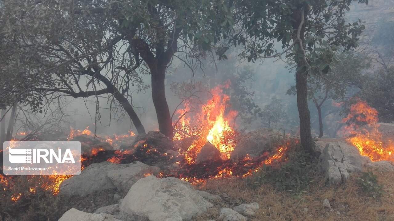 آتش‌سوزی منطقه کوه سیاه دشتستان وارد سومین روز شد