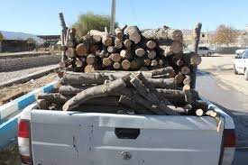 کشف 400 کیلوگرم چوب جنگلی بلوط قاچاق در "کیار"